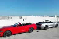 Miami Mustang Convertible Rental thumbnail 2