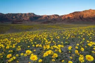 Las Vegas Death Valley Group Tour thumbnail 4