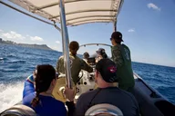Honolulu Snorkel Tour at Turtle Canyon 90 min thumbnail 3