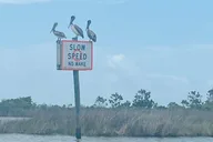 Panama City Beach Stand Up Paddle Tour thumbnail 4