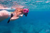 West Maui Snorkel Tour with Turtle Gardens thumbnail 4