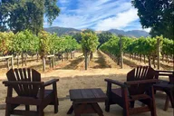 Santa Rosa North Sonoma County Winery Tour thumbnail 1