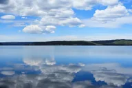 West Yellowstone National Park Private Tour thumbnail 3