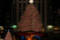 New York City Christmas Lights Horse Carriage Ride thumbnail 2