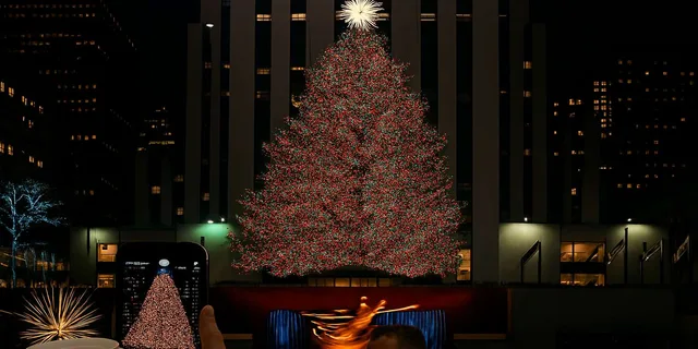 New York City Christmas Lights Horse Carriage Ride - Image 2
