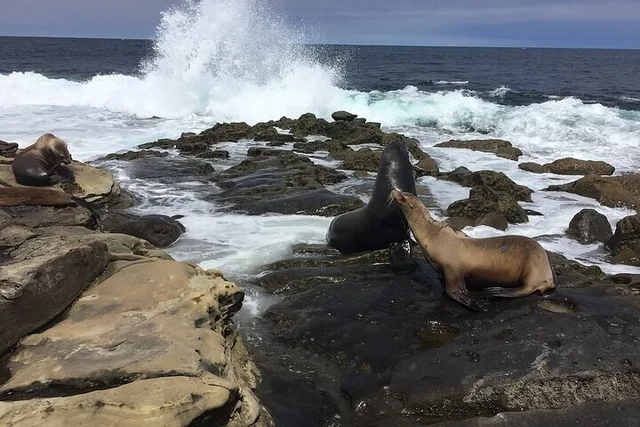 San Diego Private Tour from Leucadia - Image 3