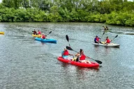 Fort Lauderdale Mangrove Kayak Eco Tour thumbnail 6