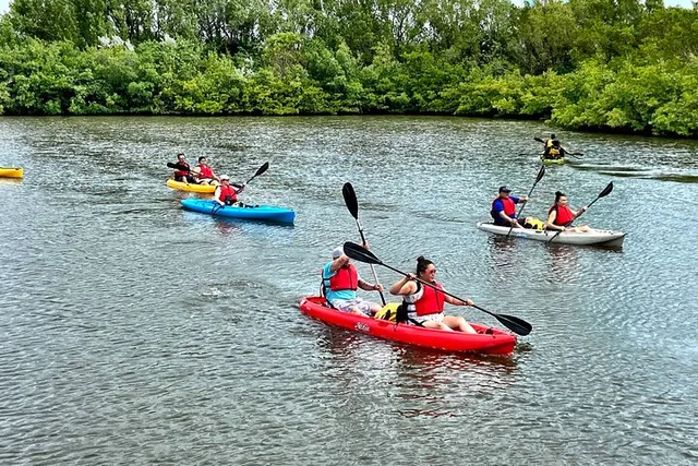 Fort Lauderdale Mangrove Kayak Eco Tour - Image 6