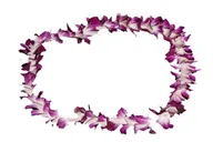 Honolulu Lei Greeting on Arrival thumbnail 2