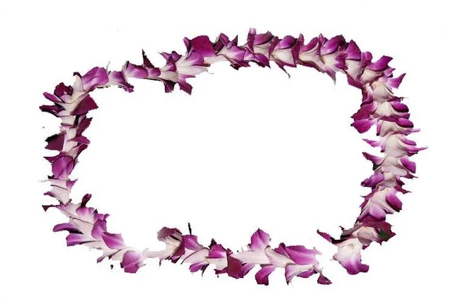 Honolulu Lei Greeting on Arrival - Image 2