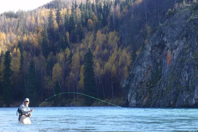 Cooper Landing Upper Kenai River Fishing Trip - Image 3
