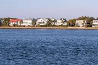 Charleston Harbor Sightseeing & Dolphin Watch Tour 1.5 hr thumbnail 6
