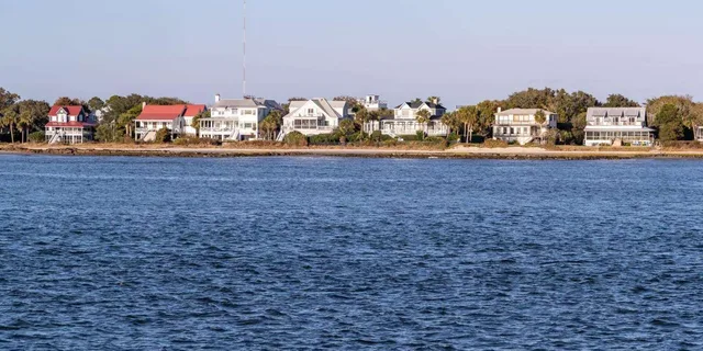 Charleston Harbor Sightseeing & Dolphin Watch Tour 1.5 hr - Image 6