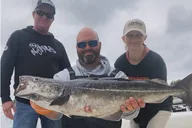 Portland Striped Bass Fishing Trip 4 hr thumbnail 3