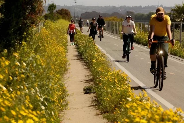 San Diego Bay to Ocean Bike Tour - Image 3