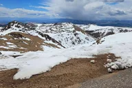 Colorado Springs Pikes Peak Jeep Tour thumbnail 6