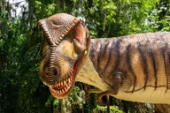 Glen Rose Dinosaur World thumbnail 6