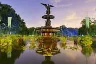 New York Central Park Pedicab Tour thumbnail 5