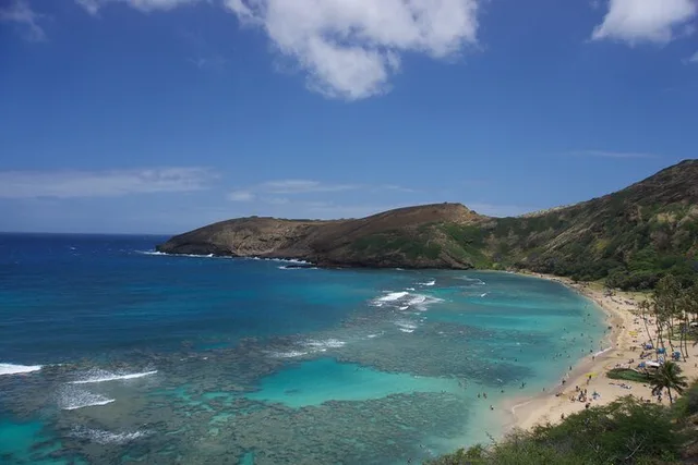 Oahu Private Tour for Up to 4 Guests - Image 4