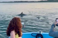 Charleston Morris Island Dolphin Cruise thumbnail 1