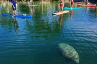 Key Largo Mangrove Kayak Rental thumbnail 1