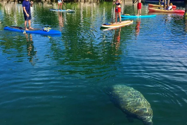Key Largo Mangrove Kayak Rental - Image 1