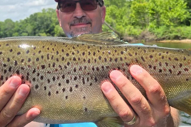 Branson Fishing Trip with Captain B's Guide Service - Image 3