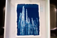 Joshua Tree Sun Print Workshop thumbnail 4