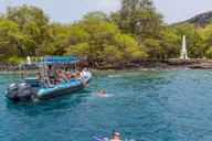 Kealakekua Bay Snorkel Tour in Captain Cook thumbnail 2
