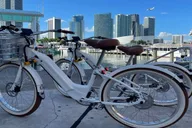 Miami Beach Electric Bike and Segway Tour thumbnail 3