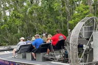 New Orleans Airboat Swamp Tour thumbnail 5
