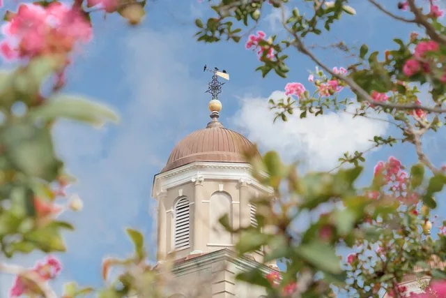 Charleston Walking Tour with Author Liz Butler - Image 6