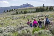 Yellowstone Beaver Ponds Naturalist Hike thumbnail 1