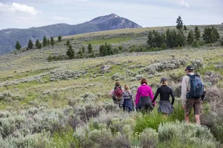 Yellowstone Beaver Ponds Naturalist Hike