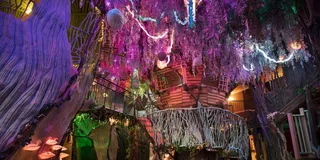 Santa Fe Meow Wolf House of Eternal Return Ticket