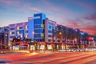 Anaheim Resort Private Transfer to John Wayne Airport thumbnail 5