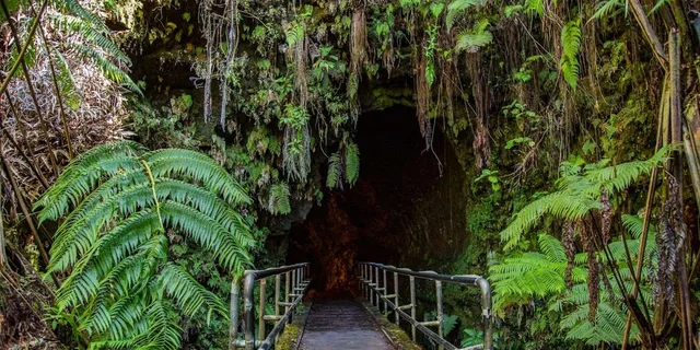 Big Island Volcanoes and Waterfalls Day Tour - Image 2