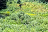 Salt Lake City Canyons Private Day Tour thumbnail 2