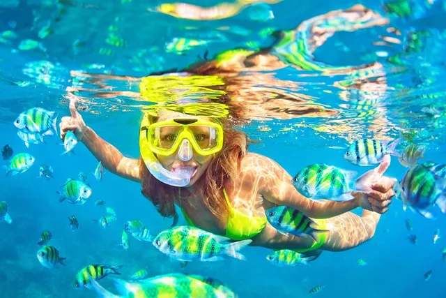 Key Largo Snorkel Tour to Coral Reefs - Image 5