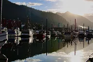 Ketchikan Photo Safari 3 hr thumbnail 5