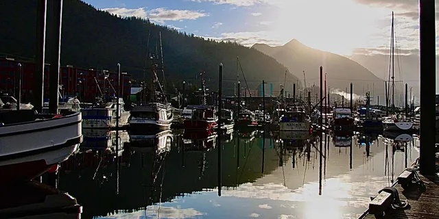 Ketchikan Photo Safari 3 hr - Image 5