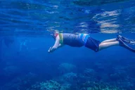 Maalaea Harbor Molokini Snorkeling Tour thumbnail 6