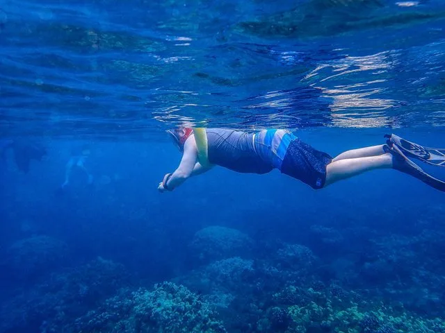 Maalaea Harbor Molokini Snorkeling Tour - Image 6