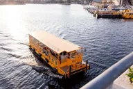 Tampa Pirate Water Taxi Tour thumbnail 4