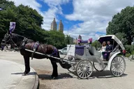 New York Central Park Horse Carriage Ride thumbnail 3