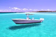 Shell Island Dolphin and Snorkeling Tour 3 hr thumbnail 2