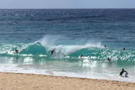 Oahu Scenic Tour to North Shore Half-Day thumbnail 1