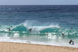 Oahu Scenic Tour to North Shore Half-Day