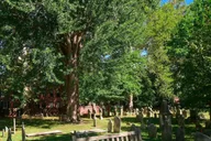 Philadelphia Walking Tour Society Hill and Old City 1.5 hr thumbnail 6