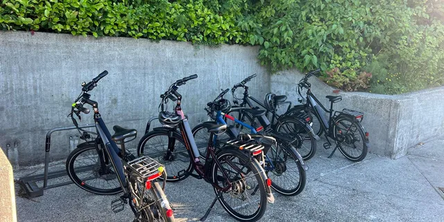 Seattle Bicycle Tour - Image 3